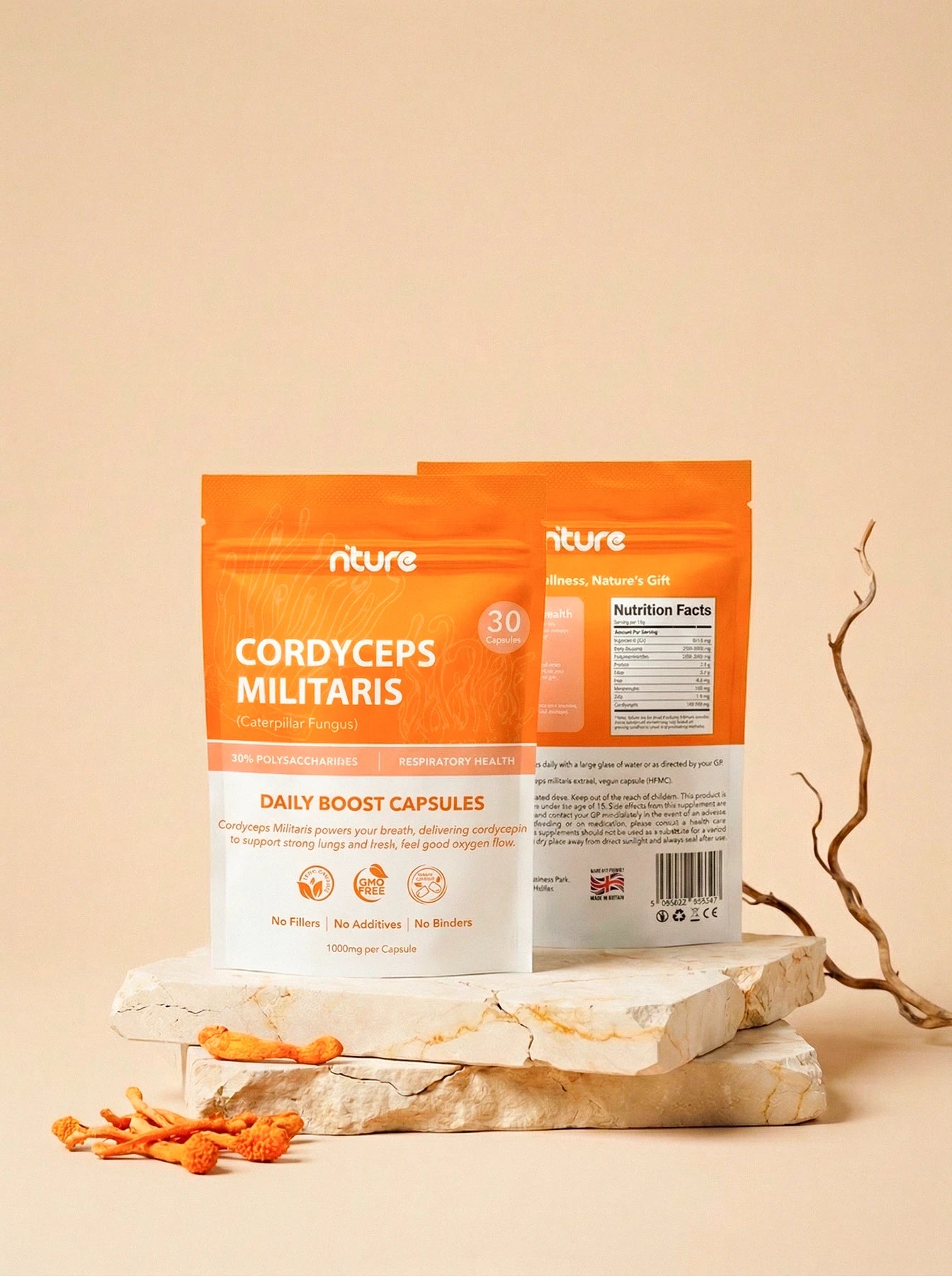 Cordyceps Militaris Capsules
